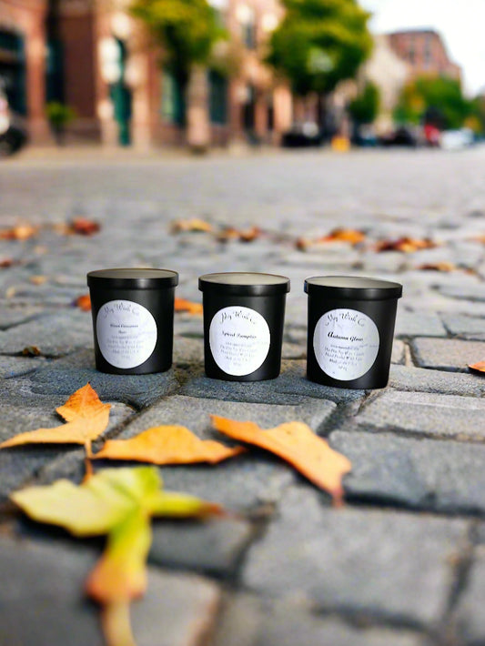 Three black containers with labels on a stone pavement with autumn leaves.